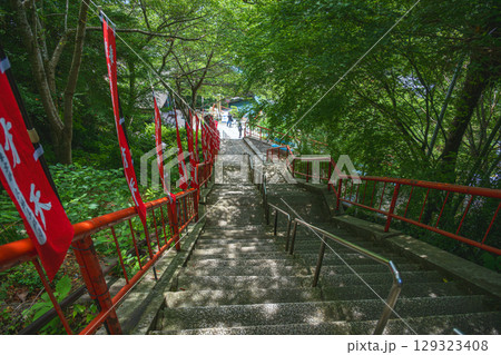 竹生島 宝厳寺 参道の石段風景 竹生島 宝厳寺 参道の石段風景 129323408