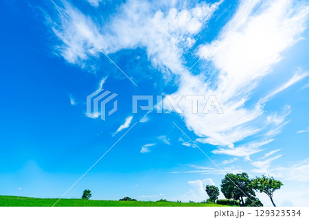青空と雲と草原 青空と雲と草原 129323534