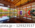 宝徳寺・秋の光に浮かぶ和傘と床もみじ 129323537