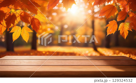 Vibrant autumn leaves with soft sunlight filtering through trees create warm atmosphere 129324532