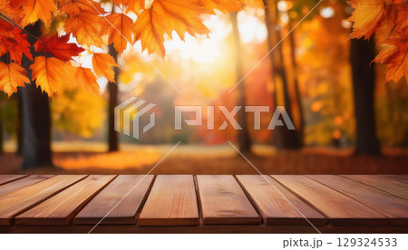 Vibrant autumn leaves in orange and yellow hues with soft sunlight filtering through trees create warm atmosphere Vibrant autumn leaves in orange and yellow hues with soft sunlight filtering through trees create warm atmosphere 129324533