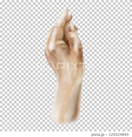 Humans hand brush in European skin tone holding pose in realistic style. White arm hand drawn in watercolor on transparent background for your vibrant Fathers Day,Valentines day or chess competitions 129324693