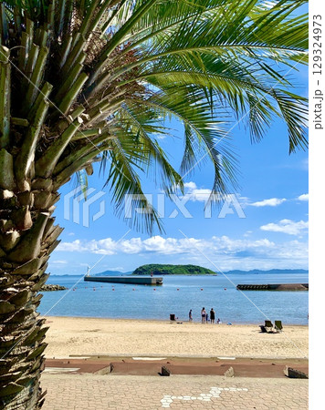 ヤシの木越しに見る梶島と遠く霞む渥美半島〈吉良ワイキキビーチ恵比寿海水浴場/愛知県西尾市〉 129324973