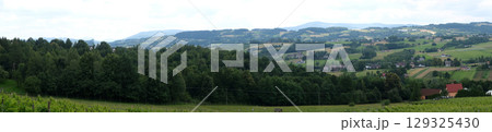 Panoramic view of forested hills and cultivated fields with scattered homes and vineyard rows in the foreground. Rural innovation, modern farming, vineyard infrastructure, European rural revival 129325430