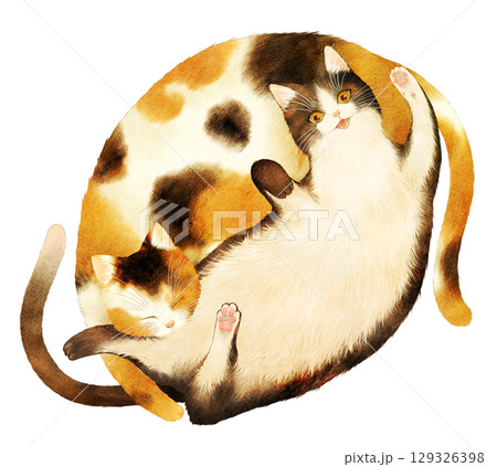 仲良く二匹で寝ころぶ猫のイラスト 仲良く二匹で寝ころぶ猫のイラスト 129326398