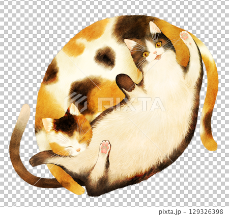 兩隻貓一起躺著的插圖 129326398