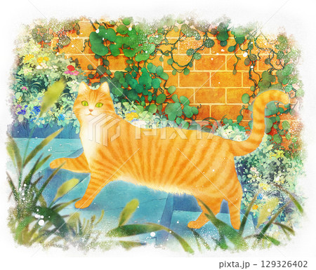 エノコログサの傍を散歩する茶トラ猫のイラスト 129326402
