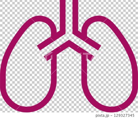 肺 129327345