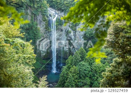 新緑の富貴野の滝 129327459