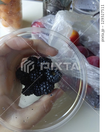 Hand holding a container of fresh blackberries in a gentle, close-up style in dark purple and black colors representing healthy food and summer berries 129327511