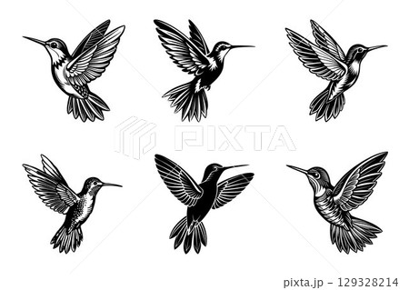 Set of white dove vector silhouette birds on white background, Black hummingbird Bird Wing 129328214