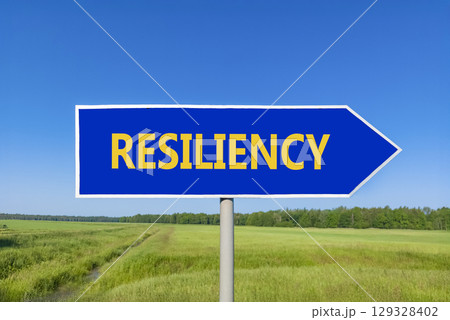 Resiliency symbol. Concept word Resiliency on beautiful blue road sign. Beautiful blue sky green grass and forest peaceful nature background. Business resiliency concept. Copy space. Resiliency symbol. Concept word Resiliency on beautiful blue road sign. Beautiful blue sky green grass and forest peaceful nature background. Business resiliency concept. Copy space. 129328402