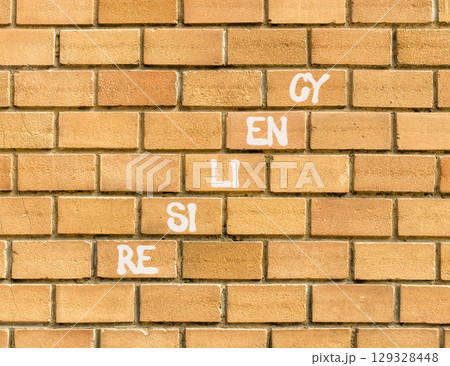Resiliency symbol. Concept word Resiliency on beautiful brown bricks. Beautiful brown brick wall background. Business resiliency concept. Copy space. 129328448