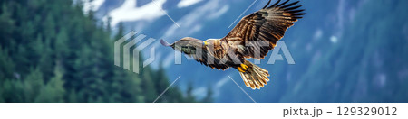 An eagle soars in the sky with forested mountains in the background. Concept of freedom and nature. For wildlife poster. 129329012