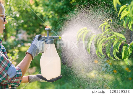 Female with garden sprayer spraying peach tree 129329528