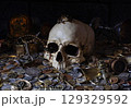 Skull among treasure coins and jewellery. 129329592