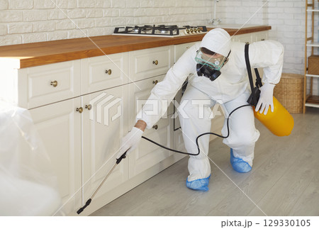 Exterminator working, professional pest disinfection service, pest control for cockroaches 129330105