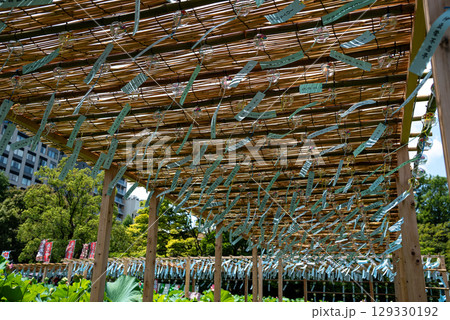 夏の風物詩・風鈴(上野・不忍池)3 夏の風物詩・風鈴(上野・不忍池)3 129330192