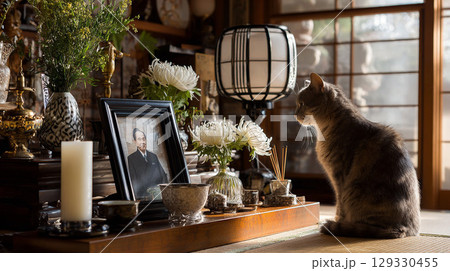 日本の伝統的な仏壇の前で静かに座る猫 129330455