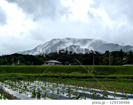 山霧 田舎の風景 山霧 田舎の風景 129330486