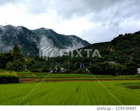 山霧　田舎の風景 129330487