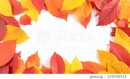 秋の紅葉フレーム背景 129330525