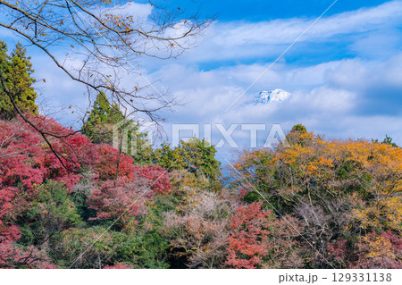 【紅葉素材】秋の富士宮市の白糸の滝・雲に見え隠れする富士山【静岡県】 129331138