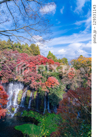 【紅葉素材】秋の富士宮市の白糸の滝・雲に見え隠れする富士山【静岡県】 129331143