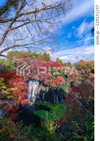 【紅葉素材】秋の富士宮市の白糸の滝・雲に見え隠れする富士山【静岡県】 【紅葉素材】秋の富士宮市の白糸の滝・雲に見え隠れする富士山【静岡県】 129331147