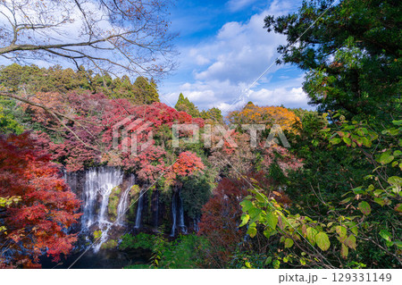 【紅葉素材】秋の富士宮市の白糸の滝・雲に見え隠れする富士山【静岡県】 129331149