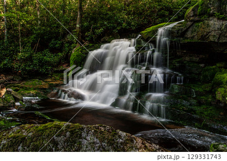 Elakala Falls Number Two, Blackwater Falls State Park, West Virginia 129331743