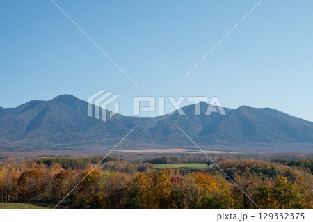 秋の晴れた日の黄葉の森林と山並み　十勝岳連峰 129332375