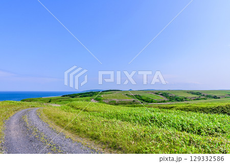 宗谷丘陵の絶景を巡る周氷河ロード  129332586