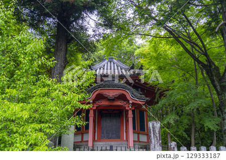 京都 最勝金剛院 八角堂 京都 最勝金剛院 八角堂 129333187