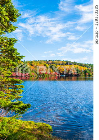 秋の白駒池 129333285