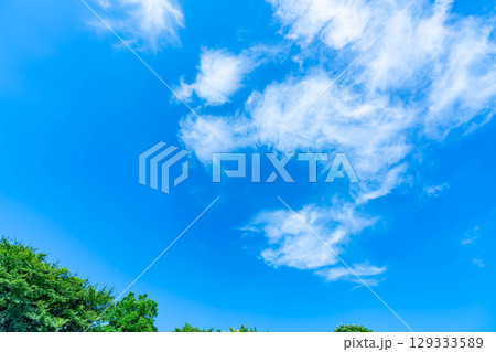 青空と雲と木立 129333589