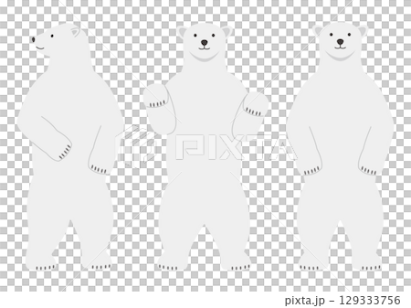 A set of illustrations of a polar bear standing up facing forward 129333756