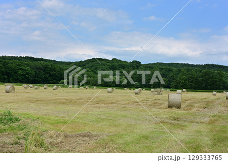麦稈ロール 麦稈ロール 129333765