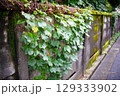 ツタと苔が覆う古いコンクリート塀 129333902