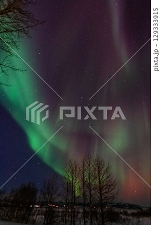 Aurora Borealis over Island 129333915