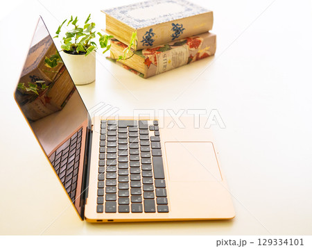 ノートパソコン、観葉植物、古い書籍 ノートパソコン、観葉植物、古い書籍 129334101