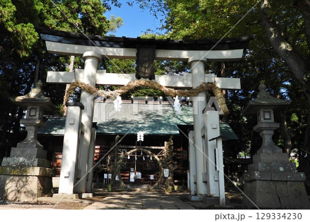 夏越祭の準備が整った神社境内 129334230