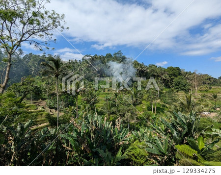 バリ島ウブドにある観光地「テガラランライステラス」 129334275