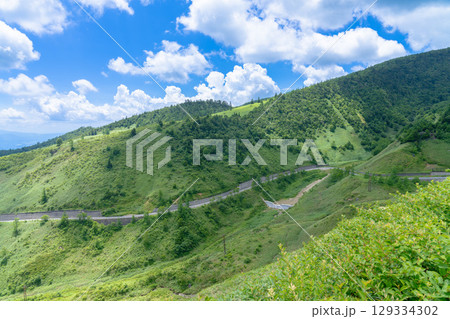 浅間白根志賀さわやか街道からみた新緑の高原 129334302