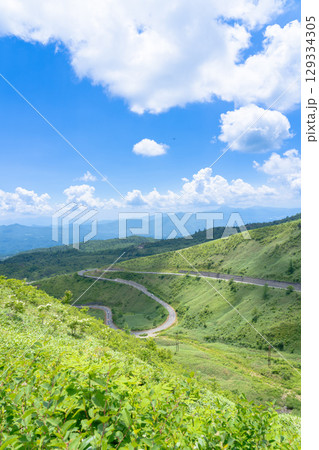 浅間白根志賀さわやか街道からみた新緑の高原 129334305