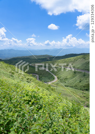 浅間白根志賀さわやか街道からみた新緑の高原 129334306