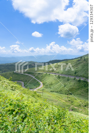 浅間白根志賀さわやか街道からみた新緑の高原 129334307