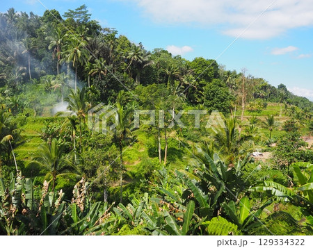 バリ島ウブドにある観光地「テガラランライステラス」 129334322