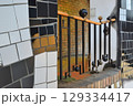 フンデルトヴァッサーの柵 129334417