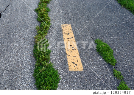 grass growing through cracked asphalt road 129334917